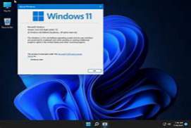 Windows 11 Pro Phoenix Ultra Lite Build 22000.493 (x64) En-US Pr